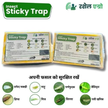 Rashail Insect Stick Trap A4 Yellow and Blue IPM Glue Trap (10 Sheets) for Pest Control