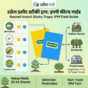 Rashail Insect Stick Trap A4 Yellow and Blue IPM Glue Trap (10 Sheets) for Pest Control