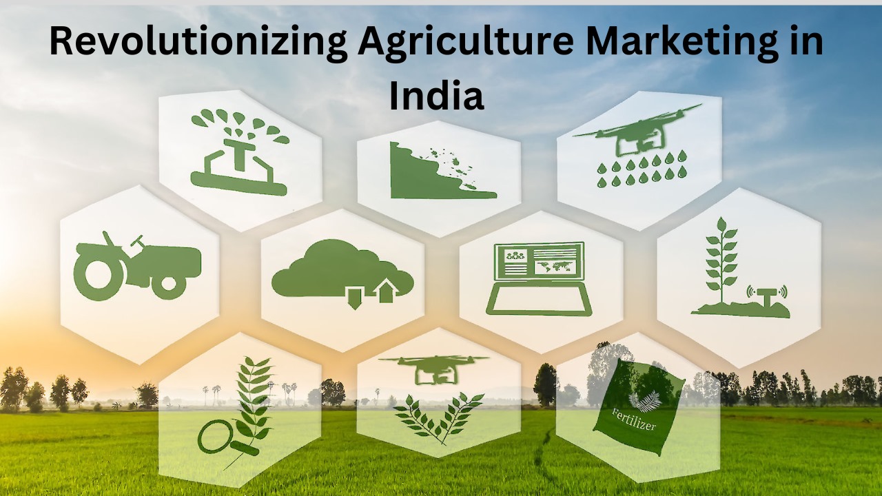 Empowering Farmers: How Nkosh is Revolutionizing Agriculture Marketing in India