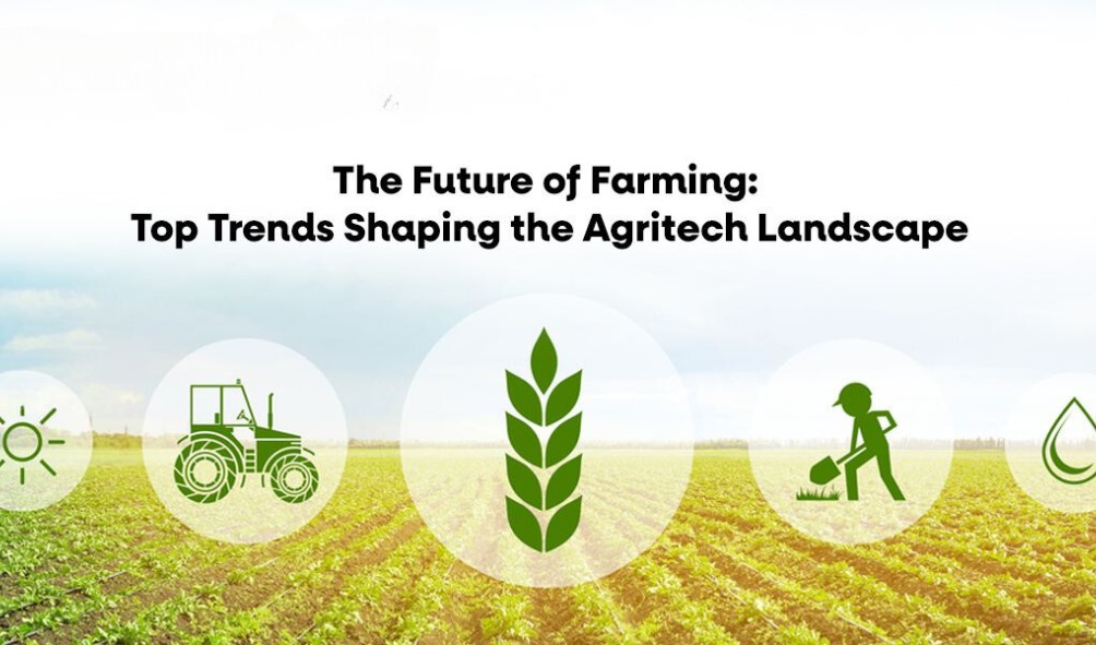 The Future of Agri-Commerce: Nkosh's Role in Transforming the Agriculture Supply Chain
