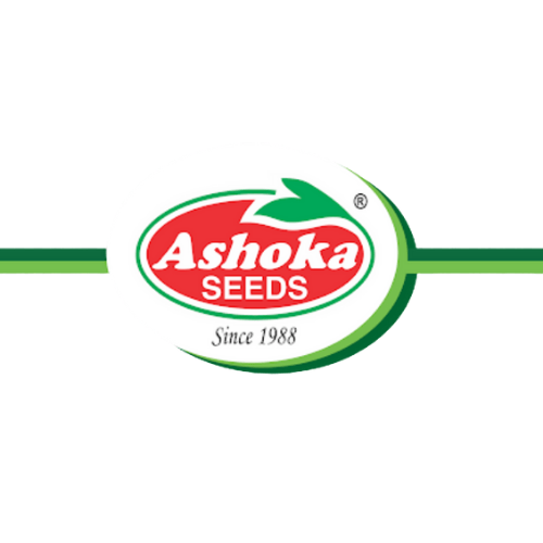 ASHOKA SEEDS