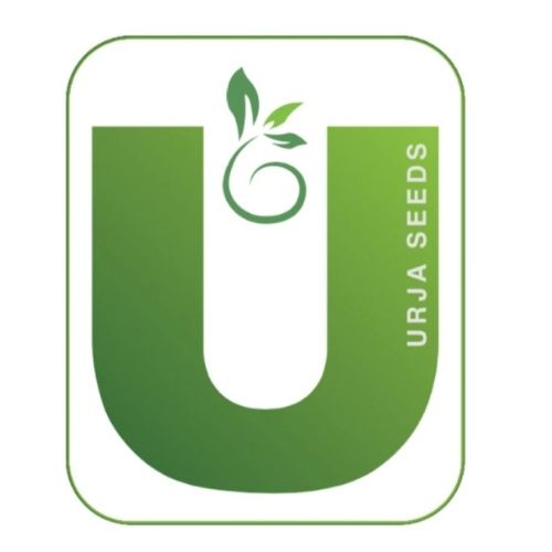 Urja Seeds